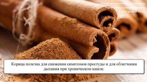 Корица полезные свойства и противопоказания