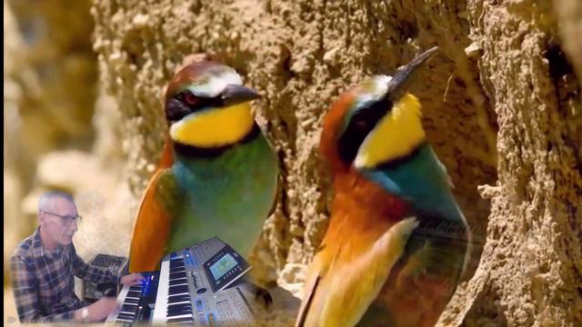 Eenmaal kom jij terug (cover) Koos Alberts смотреть онлайн