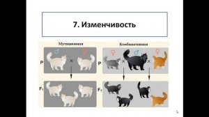 Живое и неживое. Общие признаки биологических систем