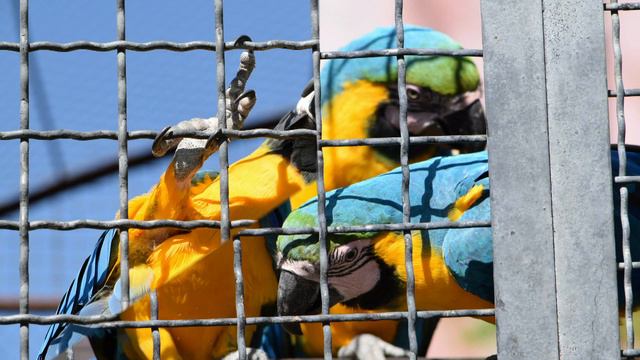 ПАРК ТАЙГАН 2019 Мр4 2Гб 29мин смотреть онлайн