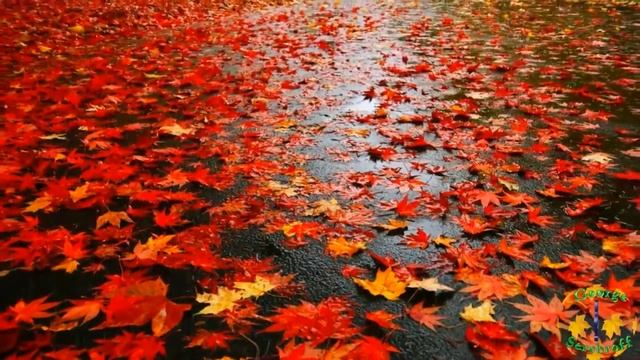 Игорь Кучеренко - Ожидание радости (стихи Юрия Гурова, музыка Игоря Кучеренко) смотреть онлайн