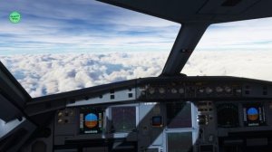 Microsoft Flight Simulator