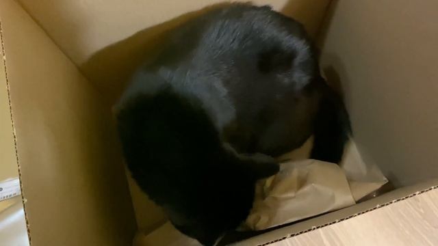 VLOGMAS #5 ? ВЛОГМАС #5 • H&M Home, подарки, Dolce&Gabbana, адвент, первый снег ? смотреть онлайн