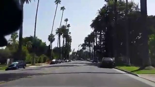 Знаменитые пальмы Беверли Хиллз Лос Анджелес City Of Beverly Hills 10.11.2018