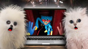 НЕ ИГРАЙ НОЧЬЮ в Poppy Playtime !!! ХАГИ ВАГИ ПРИДЁТ !!!