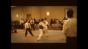 Taekwondo VINE №10