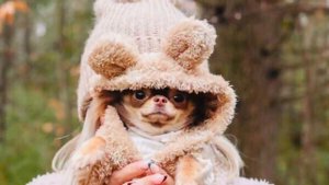 С Днём Рождения Подруге ❤️Поздравляю Подругу С Днём Рождения ?