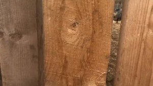 Стрижка овец в ЛПХ, весенние хлопоты