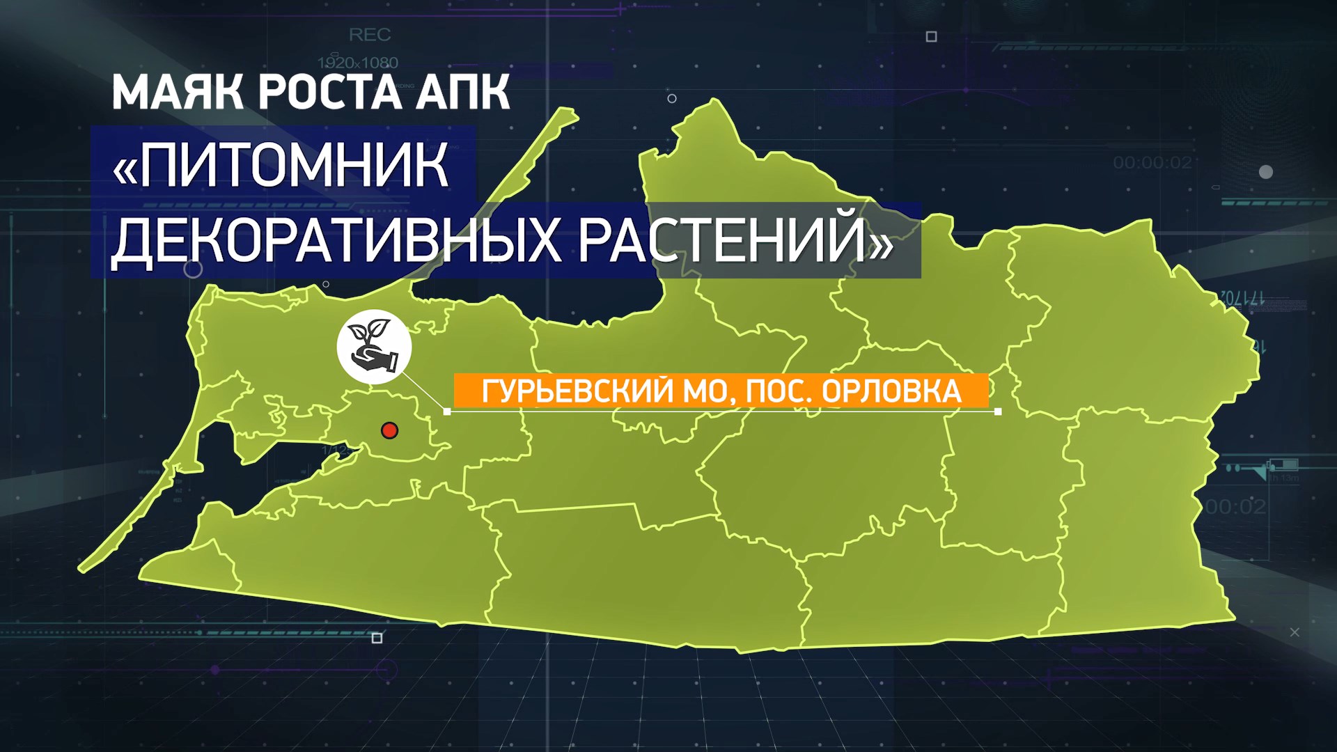 Маяки роста - Питомник декоративных растений