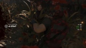 Обзор Shadow of the Tomb Raider