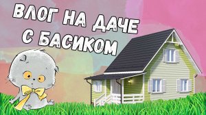 Влог на даче с басиком