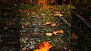 Ашыкма син гомер,ашыкма...