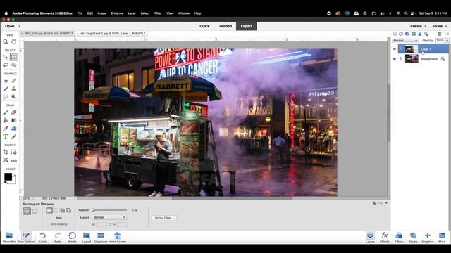 Adobe Photoshop Elements 2022 Basics Tutorial смотреть онлайн