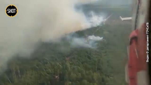 Кадры тушения лесных пожаров в Рязанской области смотреть онлайн