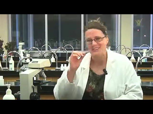 Креационизм миф и действительность 02 Наука и религия Александр Болотников смотреть онлайн