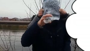 ВЫШЕЛ ЁЖИК ИЗ ТУМАНА? | Анекдоты?