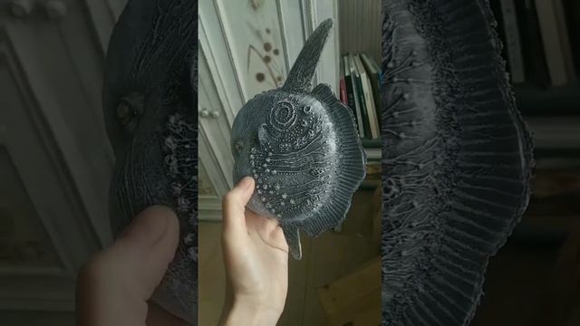 Мистическая рыба Луна? смотреть онлайн