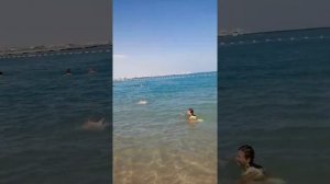 Пляж отеля Альбатрос Джангл аква парк