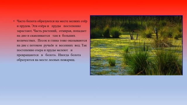 Болота, их осушение география 6 кл