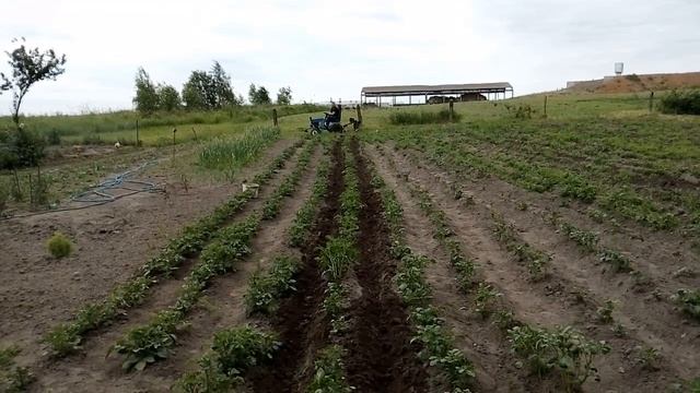 Самодельный мини трактор из мотоблока вейма 1050 смотреть онлайн