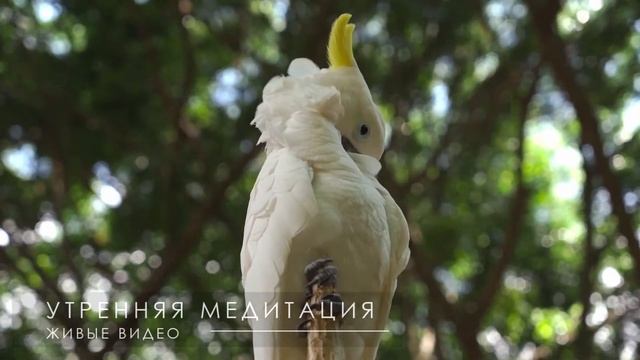 Утренняя медитация благодарность себе - Удели себе время на восстановление