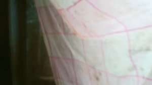 Как Частично избавиться от мошки в сарае?