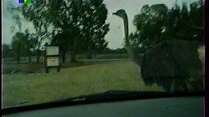 Отчего и почему? (18.04.2004)