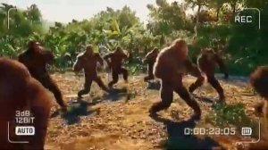 обезьяны флексят под песню про обезьян