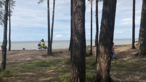 ОТДЫХ НА БЕРЕГУ ФИНСКОГО ЗАЛИВА | ГДЕ ОТДОХНУТЬ В ПЕТЕРБУРГЕ
