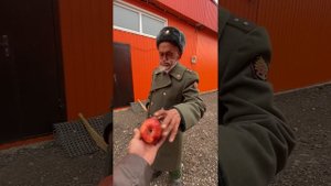Олег бухает. / ГАРДЕЙ И ИВАНЫЧ . #рек #рекомендации #топ #shortsvideo #тренды #а4 #волгоград #short