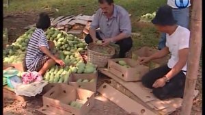 В поисках приключений - Филиппины 3