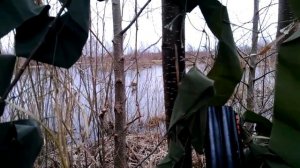 Весенняя охота (Заболотское О.Х. )