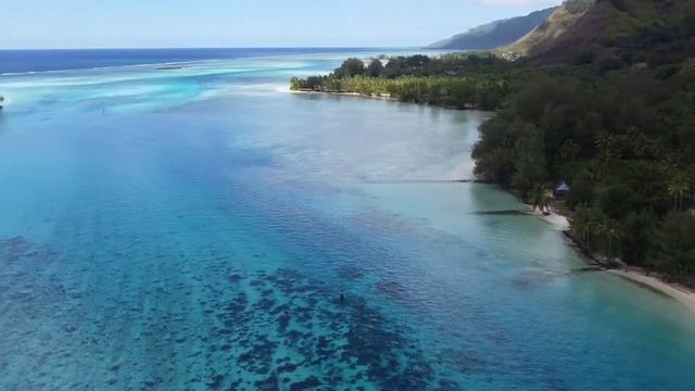 Séjour à MOOREA 🐠 смотреть онлайн