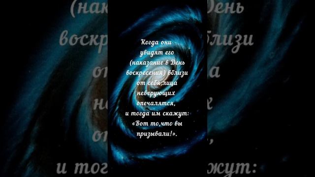 #аллах #ислам #жизнь #коран #аят #судныйдень #аяты #фахад #ниязи