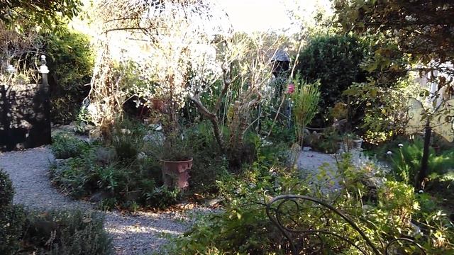 Garden at Spellbound in Cambria California. Enjoy :) смотреть онлайн