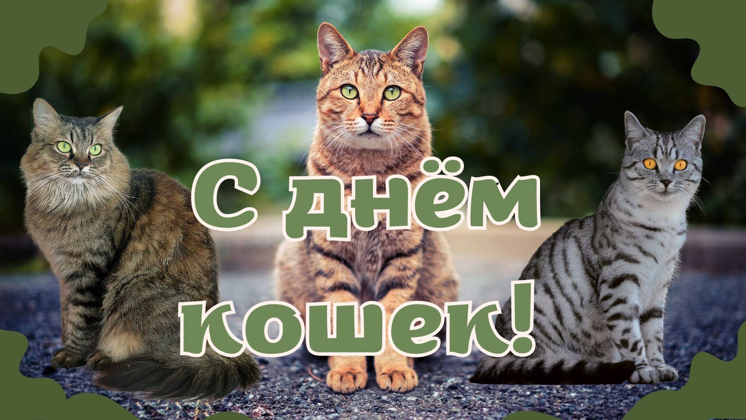 С днём кошки! Стихи про котиков. Пожелание в стихах