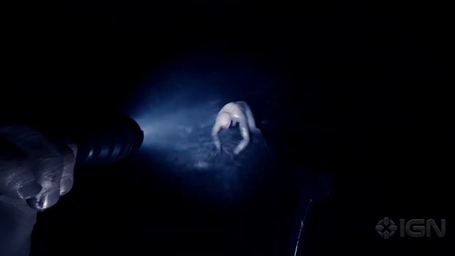 Sons of the Forest Trailer смотреть онлайн