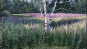 Берёзоньки-берёзки....сторона родная