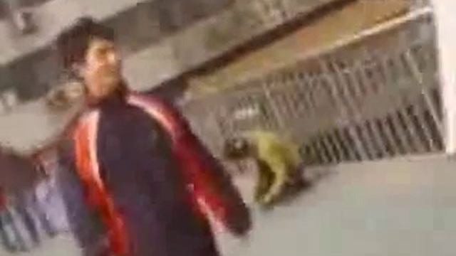 Приколисты