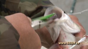 ловим жереха на касмастер часть 2