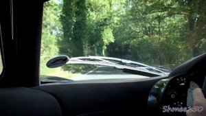 McLaren F1 Ride Highlights