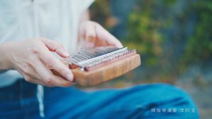 Wu Ji - The Untamed OST (April Yang kalimba cover)