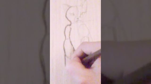 How to draw cat. смотреть онлайн