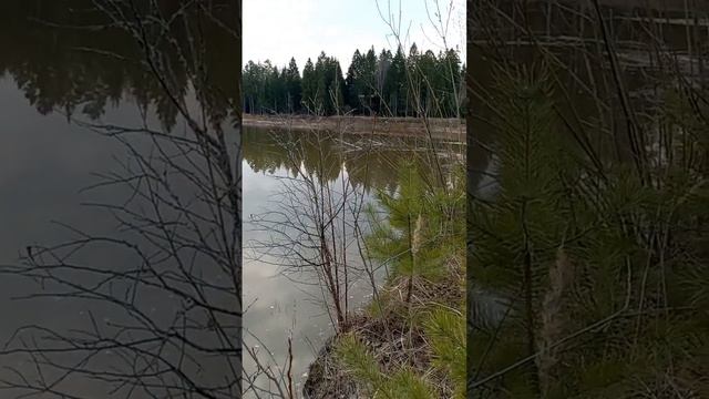 ЕРДЕНЕВСКИЙ КАРЬЕР. ВОДА ПОДНЯЛАСЬ НА 4 МЕТРА