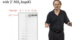 Jack Szostak (Harvard/HHMI) Part 3: Non-enzymatic Copying of Nucleic Acid Templates