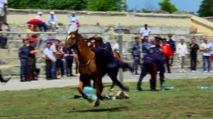 Джигитовочная группа войскового казачьего общества «Всевеликое войско Донское»