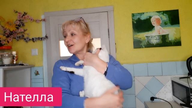 Вечером на кухне)ОЙ МАМА)ОЙ)ВСЯ СЕМЬЯ) смотреть онлайн