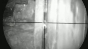 Охота на крыс с Оптики ужасающие зрелище видео 2016