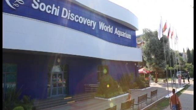 Самый большой океанариум в России презентация