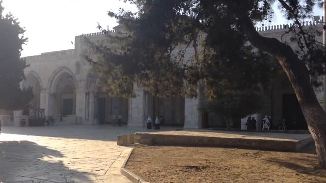 На Храмовой горе. Иерусалим, октябрь 2014. смотреть онлайн